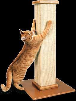 Ultimate Post Perch #00 Cats enjoy the security of sleeping in an elevated area where they can survey their