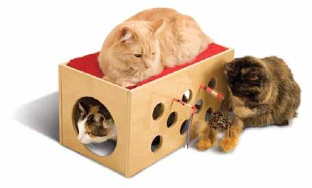 cat toys & play activities Predatory skills such as stalking,