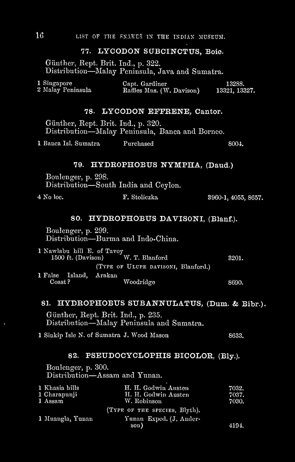 Sumatra Purchased 8004. 79. HYDROPHOBUS NYMPHA, (Baud.) Boulenger, p. 298. Distribution South India and Ceylon. 4 No loc. F. Sfcoliczka 3960-1, 4055, 8657. 80. HYDROPHOBUS DAVISONI, (Blanf).