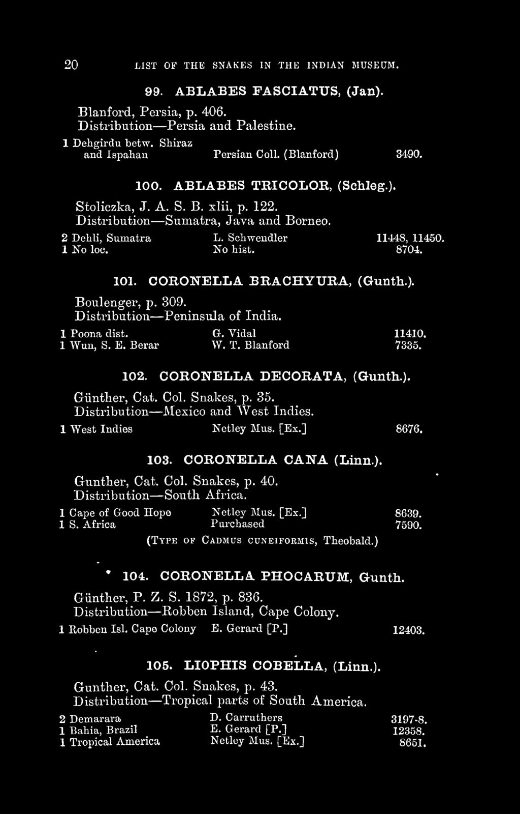 101. CORONELLA BRACHYURA, (Gunth.). Boulenger, p. 309. Distribution Peninsula of India. 1 Poona dist. G. Vidal 11410. 1 Wun, S, E. Berar W. T. Blanford 7335. 102. CORONELLA DECORATA, (Gunth.). Giinther, Cat.