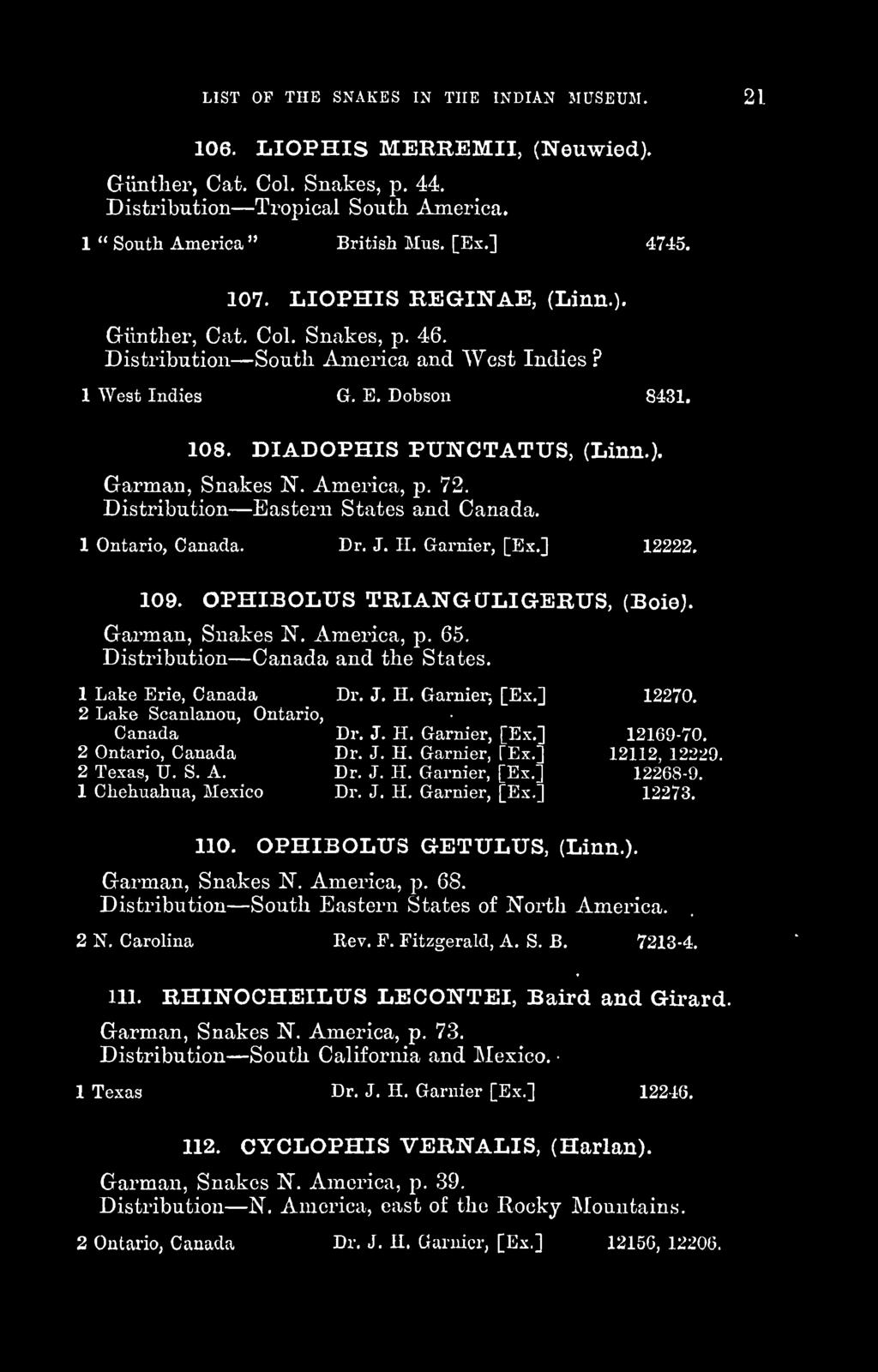 America, p. 72. Distribution Eastern States and Canada. 1 Ontario, Canada. Dr. J. H. Garnier, [Ex.] 12222. 109. OPHIBOLUS TmANGCJLIGERUS, (Boie). Garman, Snakes N. America, p. 65.