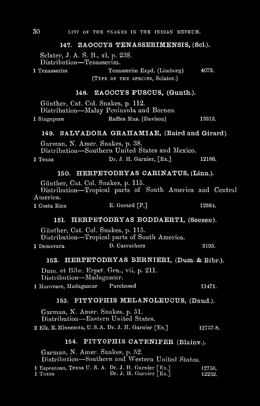 SALVADORA GRAHAMIAE, (Baird and Girard). Garman, N. Amer. Snakes, p. 38. Distribution Southern United States and Mexico. 1 Texas Dr. J. H. Garnier, [Ex.] 12186. 150. HERPETODRYAS CARINATUS, (Linn.). Giinther, Cat.