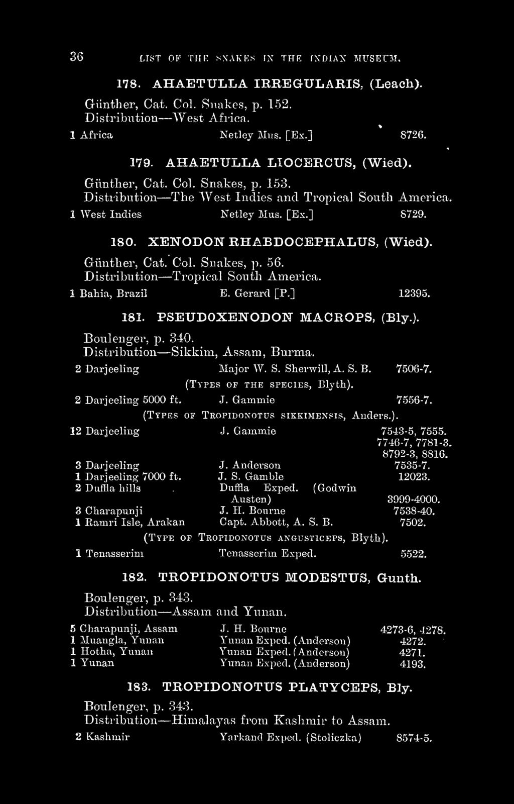 XENODON RHABDOCEPHALUS, (Wied). Gvinther, Cat. Col. Snakes, p. 56. Distribution Tropical South America. 1 Bahia, Brazil E. Gerard [P.] 12395, 181. PSEUDOXENODON" MACROPS, (Ely.). Boulenger, p.