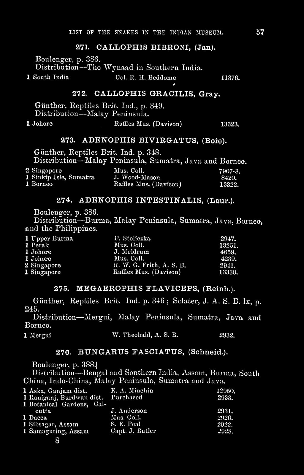 LIST OF THE SNAKES IN THE INDIAN MUSEUM. 57 271. CALLOPHIS BIBRONI, (Jan). Boulenger, p. 386. Distribution The Wynaad in Southern India. 1 South India Col. R. H. Beddome 11376. 272.