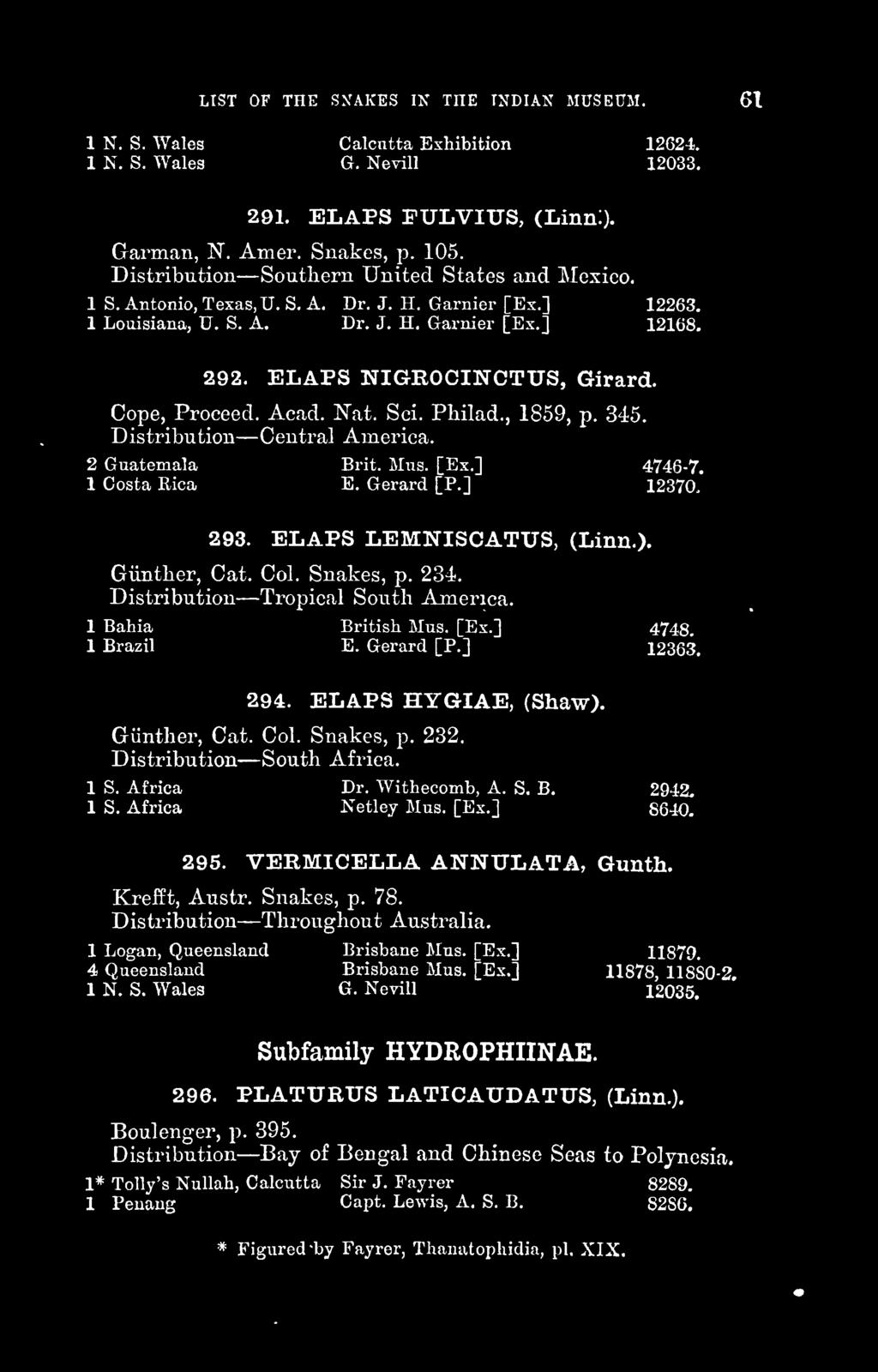 Cope, Proceed. Acad. N'at. Sci. Philad., 1859, p. 345. Distribution Central America. 2 Guatemala Brit. Mus. [Ex.] 4746-7. 1 Costa Rica E. Gerard [P.] 12370. 293. ELAPS LEMNISCATUS, (Linn.).