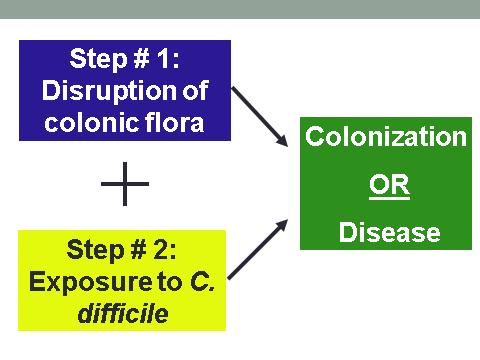 C. difficile: Prevention, Special Approach Special Approach Intensify efforts at HH and CP compliance Preferentially use soap and water for HH Place