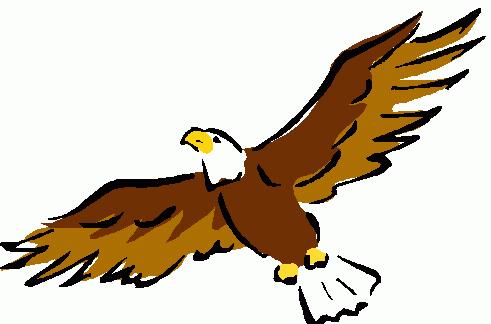 Eagle A large diurnal bird of prey with a powerful hooked bill, keen vision, long broad wings, and strong soaring flight.