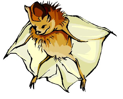 Bat A nighttime flying mammal with wings that extend from the