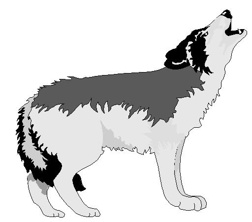 Wolf A carnivorous mammal.