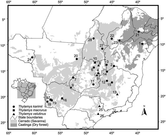 134 A.P. Carmignotto and T. Monfort: Taxonomy and distribution of Brazilian Thylamys spp. Figure 7 Known collecting localities of Thylamys species in Brazil. The gazetteer is listed in Appendix A.
