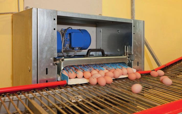 EGG COLLECTION EggSort The table drive for a