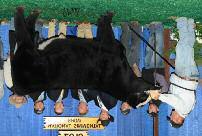 She is the first daughter to sell from Maggie May, our exciting full sister to WLTR Renegade, a former National Champion Sim-Solution Bull.