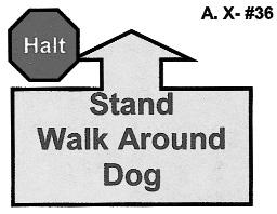 When the dog has completed the jump in the proper direction, it is called to heel position and the team continues to the next exercise. 35.