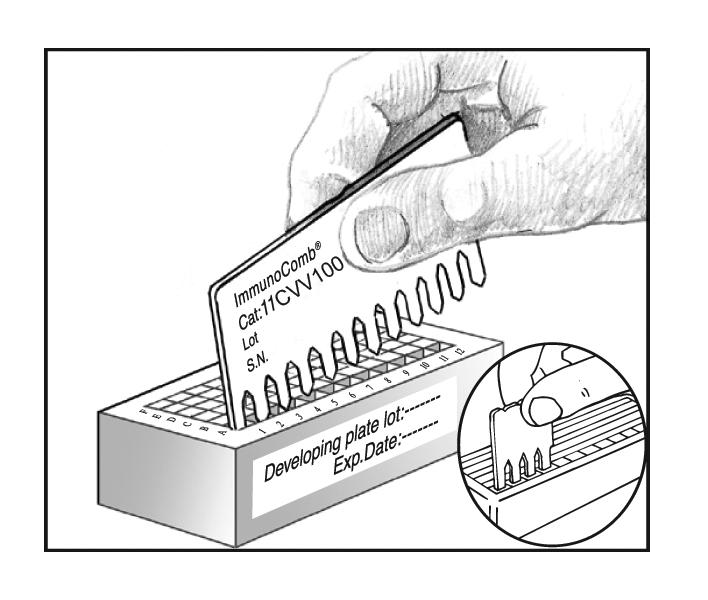 (5) Remove the Comb from its protective envelope. Do not touch the teeth of ImmunoComb card.