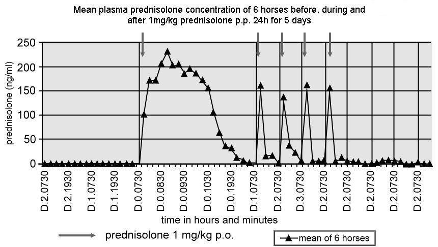 Figure 2 : Day-night rhythm of exogenous prednisolone concentration each day given at 07:30h a.m. in 6 healthy adult horses.