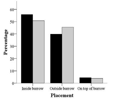 Herpetological Conservation and Biology FIGURE 3. Burrow use of Tuatara (Sphenodon punctatus) under dry (black) and humid (grey) treatments. 0.970), and none of the interactions were significant.