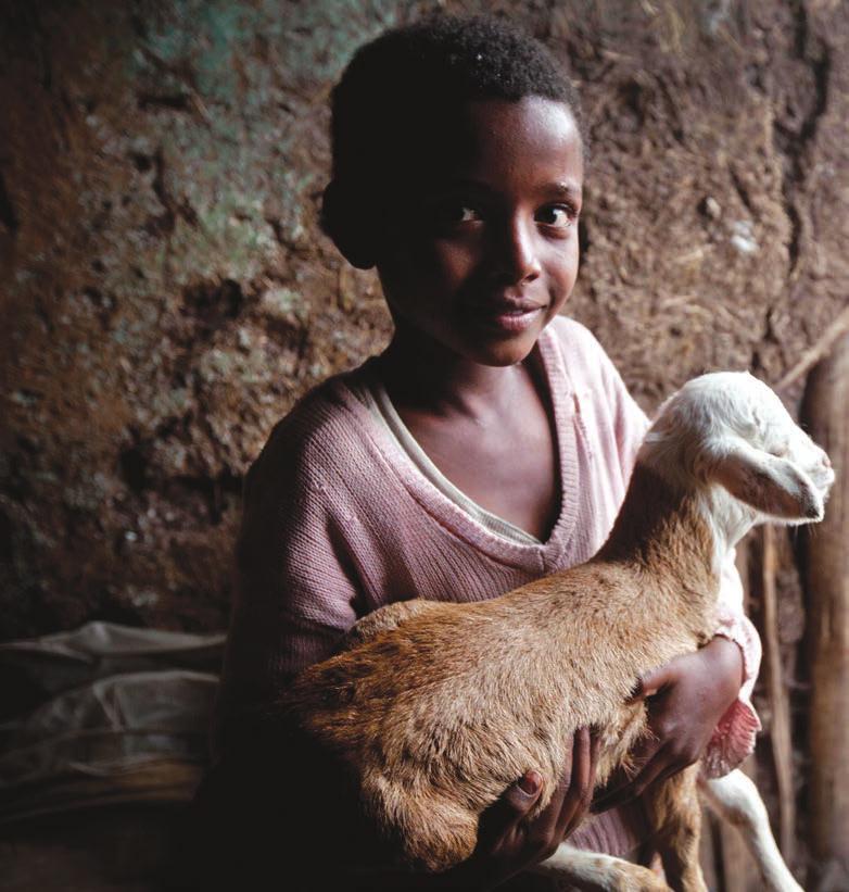 Since then, our team have been hard at work building a centre that will help a generation of young Ethiopian children foster a sense of empathy and compassion for animals.