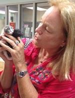 Athena Davis, PR & Events Manager Athena joined FACE in July after 5 years at the San Diego Humane Society and SPCA.
