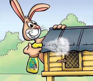 Guide to Flystrike Guide to Flystrike Flystrike Kills Rabbits Flystrike is an unpleasant and distressing condition which occurs in the summer months when flies lay their eggs around a rabbit s