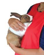 It should be around 4-5 times the length of the rabbit when the rabbit is stretched out. The hutch will need to be much larger if you are keeping more than one rabbit.