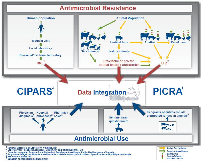 2012 ANNUAL REPORT Design and Methods/Preamble 3 CIPARS OBJECTIVES Provide a unified approach to monitor trends in antimicrobial resistance and antimicrobial use in humans and animals.