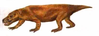 Triassic Mammal-Like