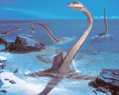 Plesiosaurs Fed on fish using slender curved teeth Short, broad body and extraordinarily