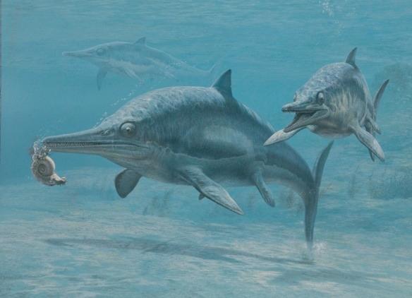 Ichthyosaurs ("fish-lizards") The most fish-like of Mesozoic reptiles Resemble dolphins, but with upright rather than