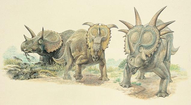 Triceratops Styracosaurus