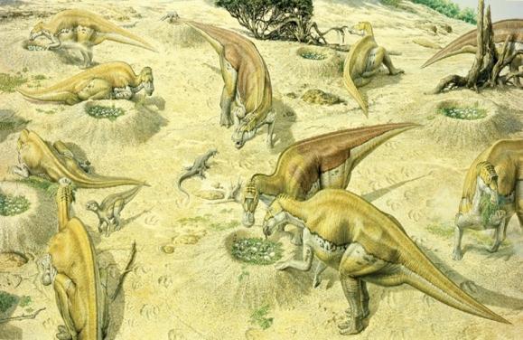 Interesting Facts about Dinosaurs Some duck-billed dinosaurs (hadrosaurs) had bony skull crests with hollow tubes which may have served as vocal resonating chambers for producing sounds.