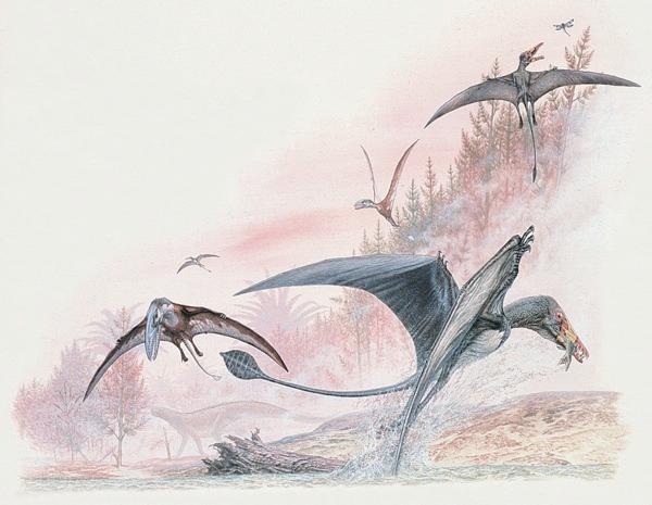 Pterosaurs Eudimorphodon (right front), a 60-cm pterosaur