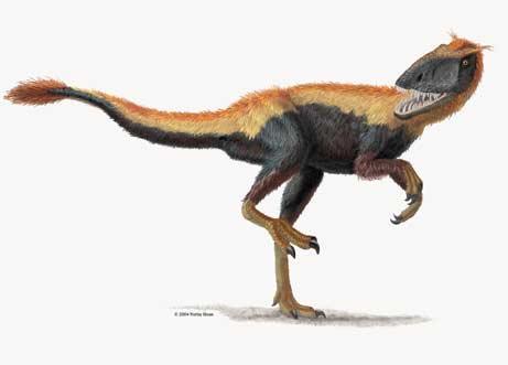 Feathered Dinosaurs Dilong paradoxus Dilong paradoxus is one of the earliest (Early