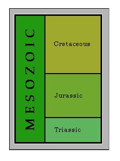 Mesozoic 248-65 Myr P r e c a m b r i a n Eon P h a n e r o z o i c Proterozoic Archean Hadean Era Period Age (Myrs) Epoch C e n o z o i c M e s o z o i c P a l e o z o i c Geologic Time Scale