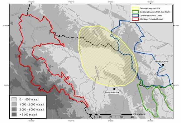 Cusi et al. Fig. 1. Distribution of Atelopus seminiferus in the Mayo River basin, San Martin, Peru. Yellow polygon corresponds to geographic range estimated by IUCN. Compare with Fig.