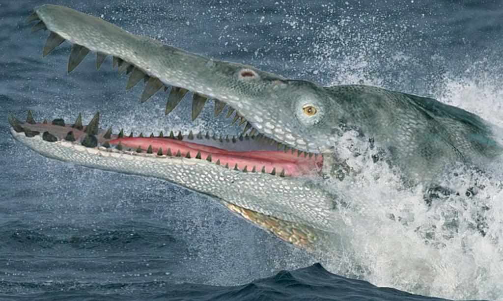 PLIOSAUR THE AQUATIC REPTILES Pliosaurs were top predators, ruling the oceans and the seas for around 110