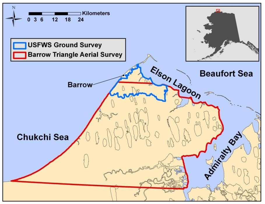 Annual ground-based surveys covered in this report are the only efforts that collect demographic data on the Alaska-breeding population of Steller s eiders, but are conducted on a smaller spatial