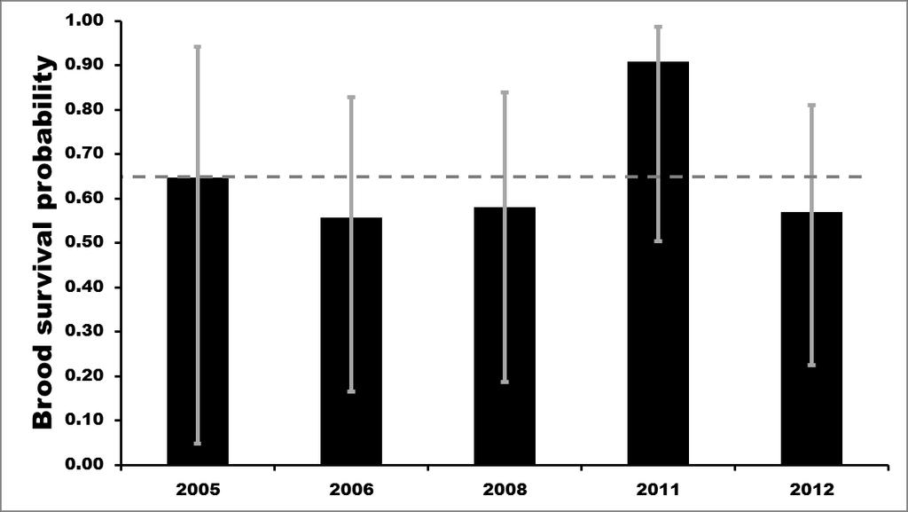 earlier years of the study (Quakenbush et al. 2004). One hypothesis is that nesting close to snowy owls may be favorable when arctic fox densities are high.