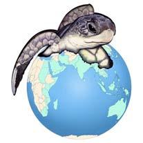 Indian Ocean South-East Asian Marine Turtle Memorandum of Understanding Assessment of the impact of the December 2004 tsunami on marine turtles and their habitats in the