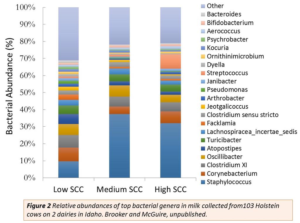 BOVINE MILK MICROBIAL COMMUNITY BY SOMATIC CELL COUNT 2 farms 103 cows by quarter V1-V3 16S rrna Somatic Cell Count