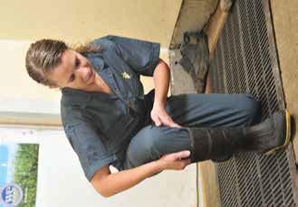 Slips, Trips and Falls Floors can become slippery in swine farms, especially in the pens and alleys. Never run through the barn or jump over gates. When crossing pens, maintain two points of contact.