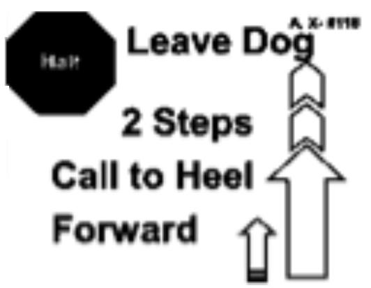 The handler then commands and/or signals the dog to heel forward from the sitting position. (Stationary exercise) 203.