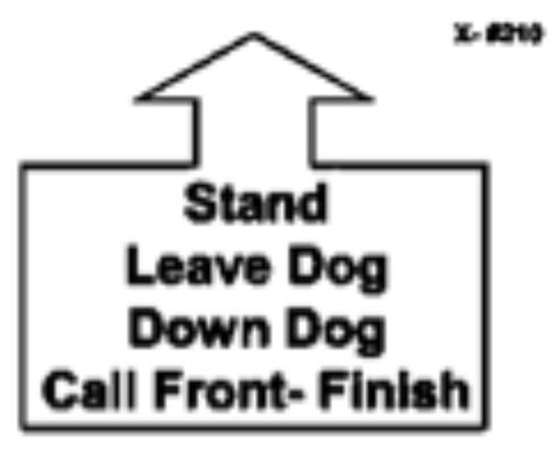 Heel marker. The handler will turn and face the dog, pause and then command and/or signal the dog to heel. This is a 180 change of direction, about turn.