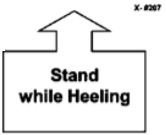 Stand Leave Dog Sit Dog Call Front Finish While heeling, the handler will stop and command and/or signal the dog to stand. The dog must stand and stay without sitting first.
