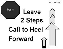 The dog must then stand in heel position. The handler may move forward with the dog to stand it. In the Intermediate and Advanced classes the handler may touch the dog to stand it.