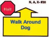 30. HALT Walk Around Dog. With the dog sitting in heel position, the handler commands the dog to stay, then proceeds to walk around the dog to the left, returning to heel position.