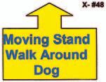 While heeling and with no hesitation, the handler will stand the dog, leave and walk around the dog to the left, returning to heel position.