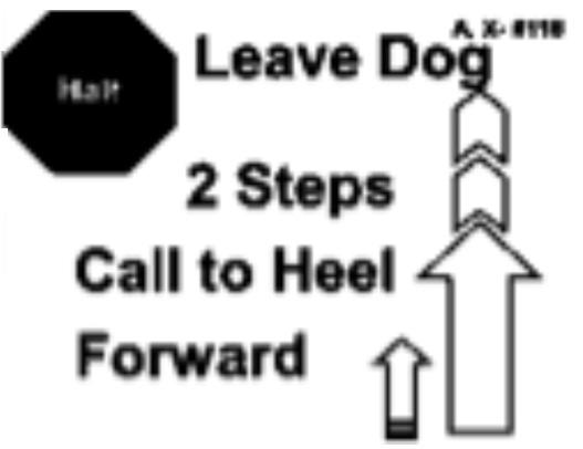 With dog sitting in heel position, the handler will stand the dog (without physical handling or moving forward), then command and/or signal the dog to sit.