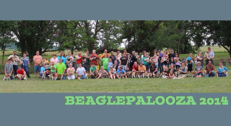 What s a Beaglepalooza?