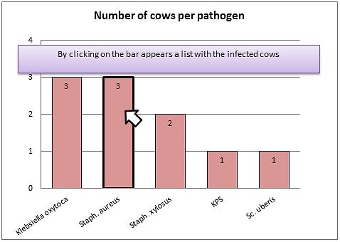 Bacteriological milk analyses Examples of use for herd management Bacteriological milk samples Number of cows per pathogen Pattern of pathogens Number of cows per pathogen lactations Number of cows