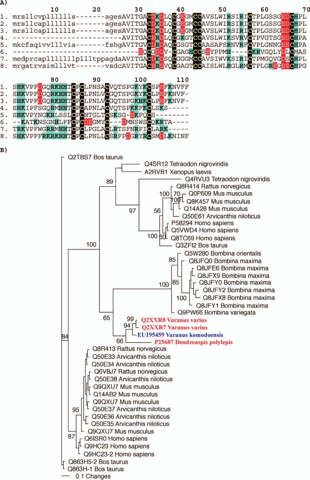 Fig. S2. Molecular evolution of Varanus komodoensis AVIT toxins.